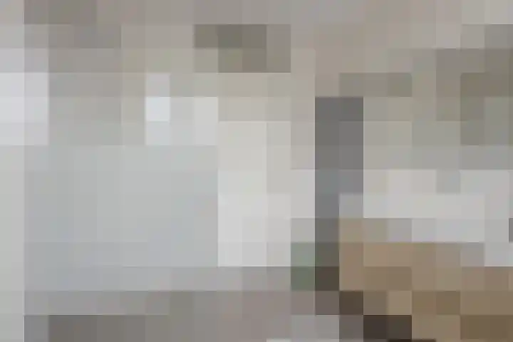 Walpen 5 Moerkapelle thumbnail 28