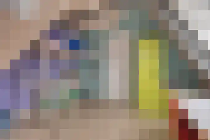 Walpen 5 Moerkapelle thumbnail 38