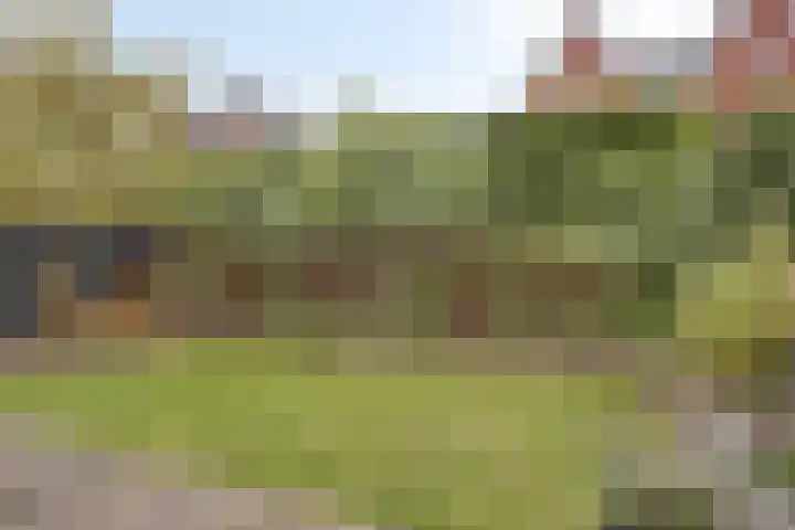 Walpen 5 Moerkapelle thumbnail 4