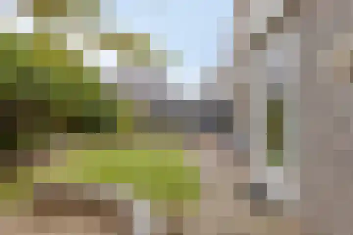 Walpen 5 Moerkapelle thumbnail 40