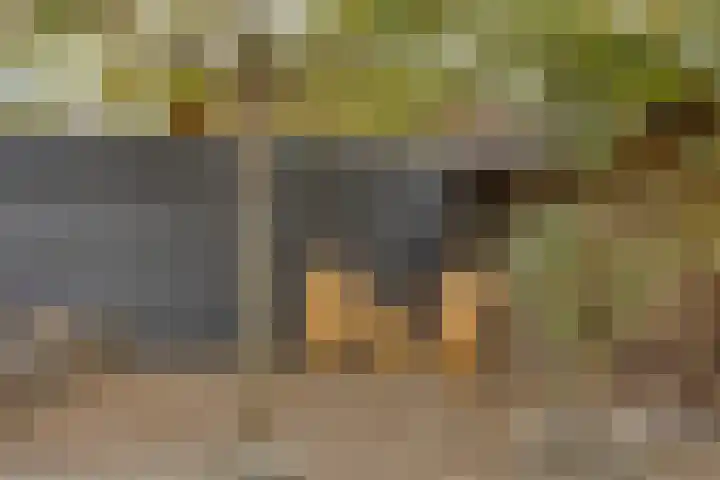 Walpen 5 Moerkapelle thumbnail 41