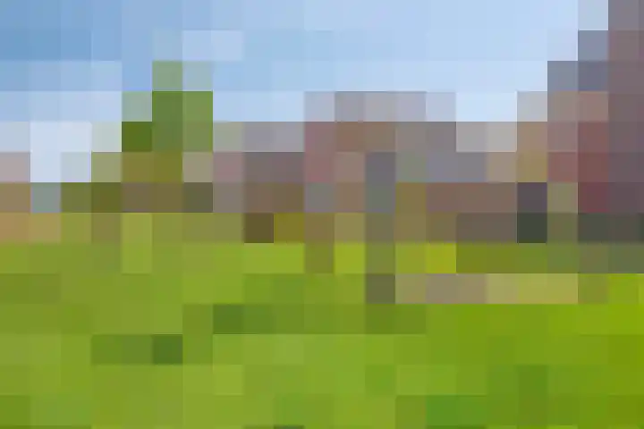 Walpen 5 Moerkapelle thumbnail 44