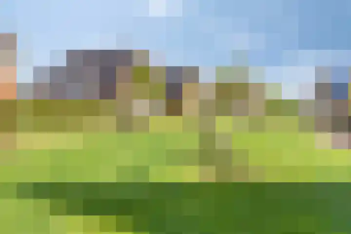 Walpen 5 Moerkapelle thumbnail 5