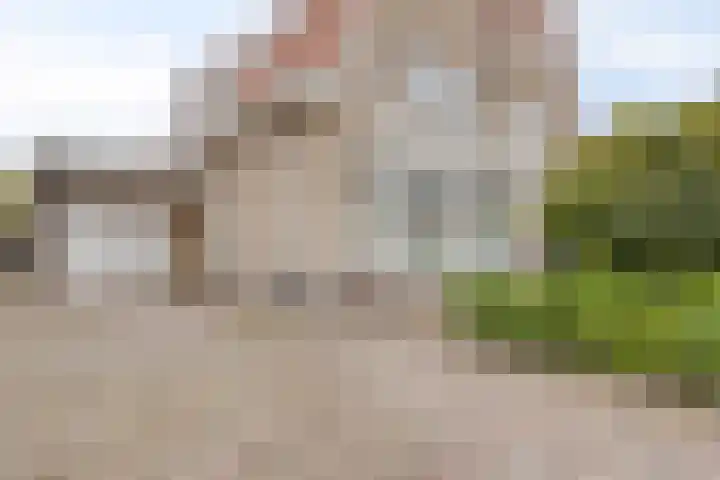 Walpen 5 Moerkapelle thumbnail 8