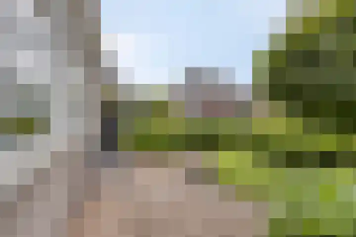 Walpen 5 Moerkapelle thumbnail 9