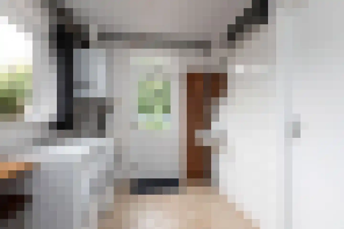 Walperterwei 11 Wommels thumbnail 14