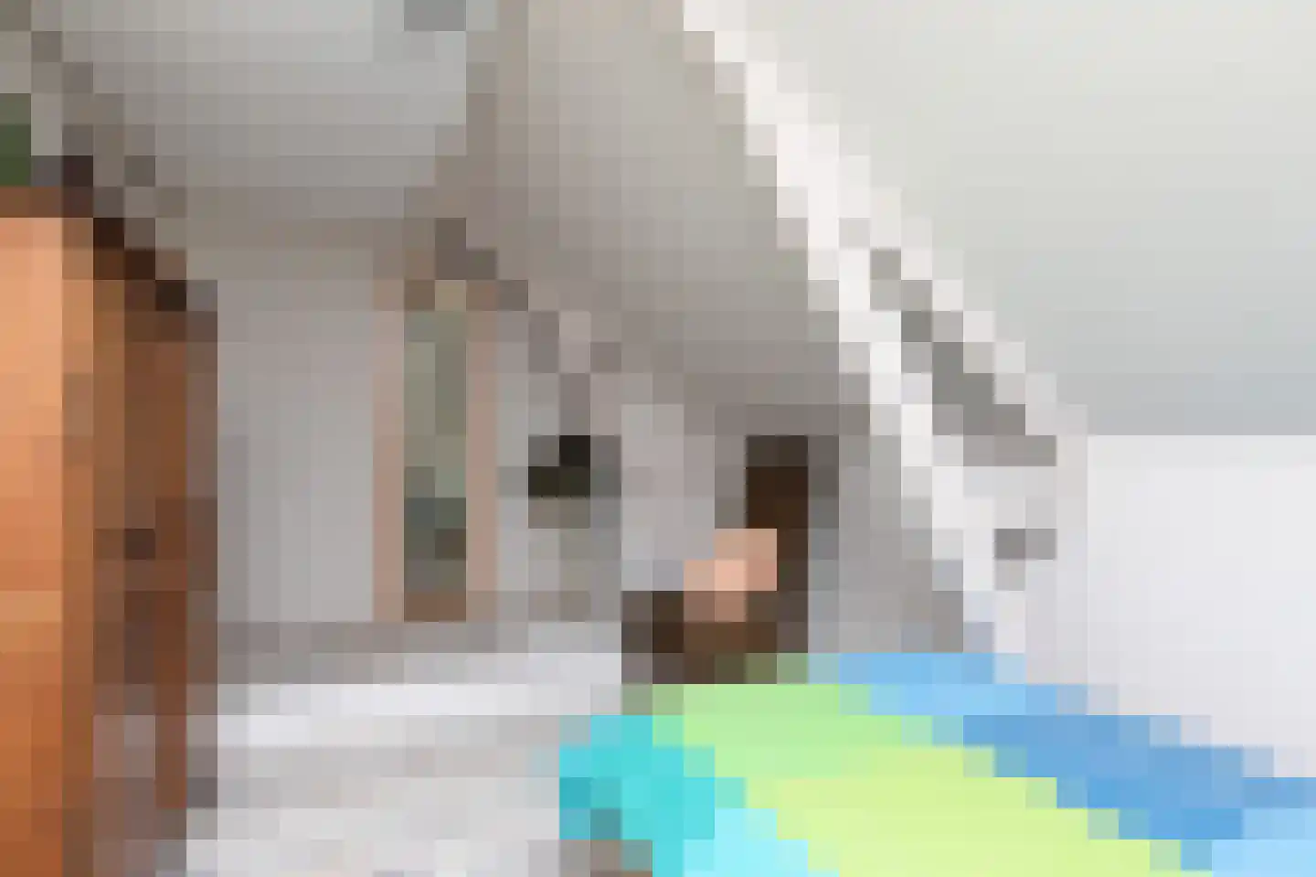 Walperterwei 11 Wommels thumbnail 27