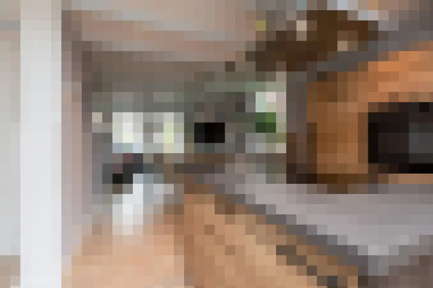 Walperterwei 11 Wommels thumbnail 8