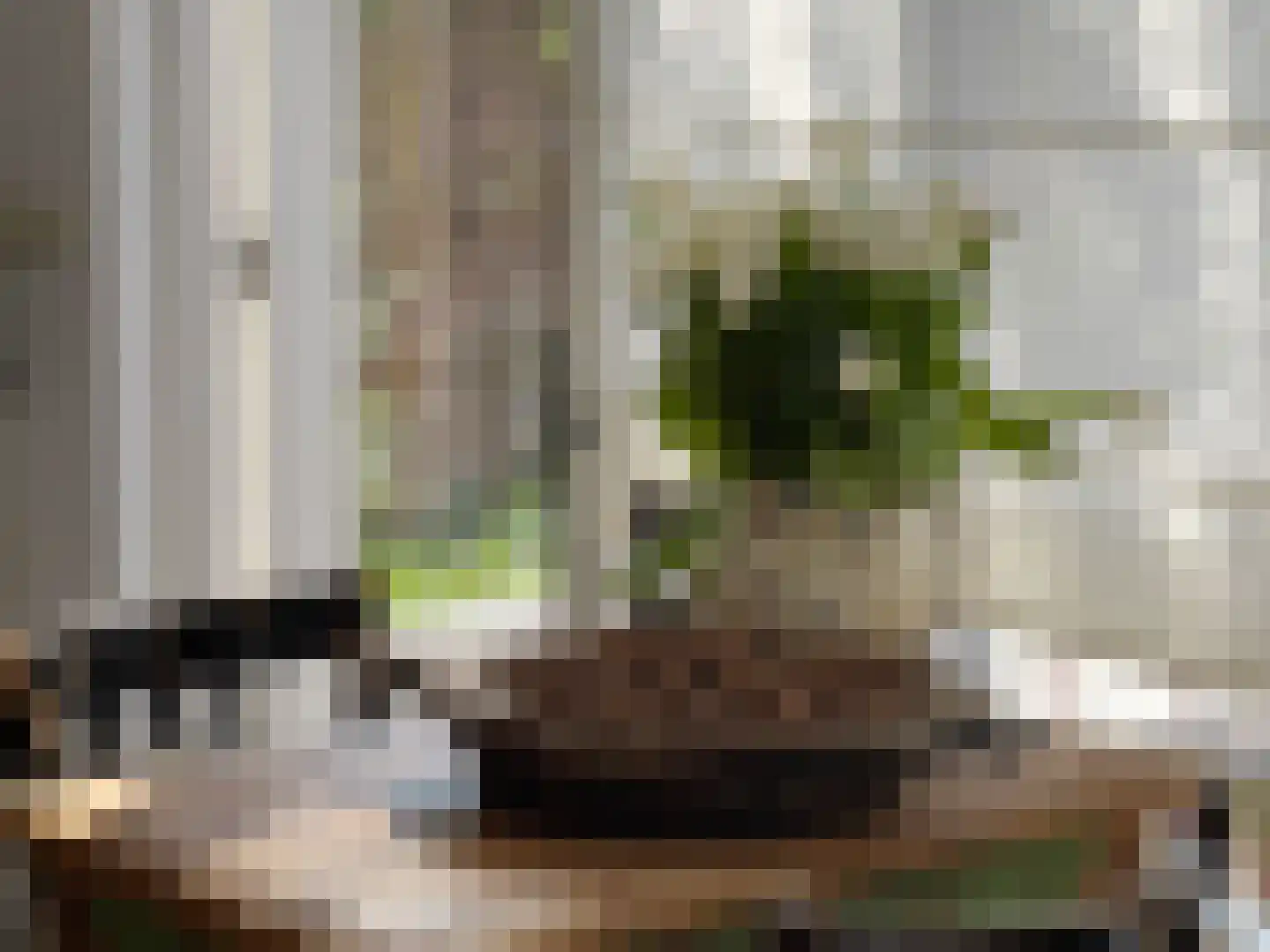 Walplantsoen 18 Wijk bij Duurstede thumbnail 22