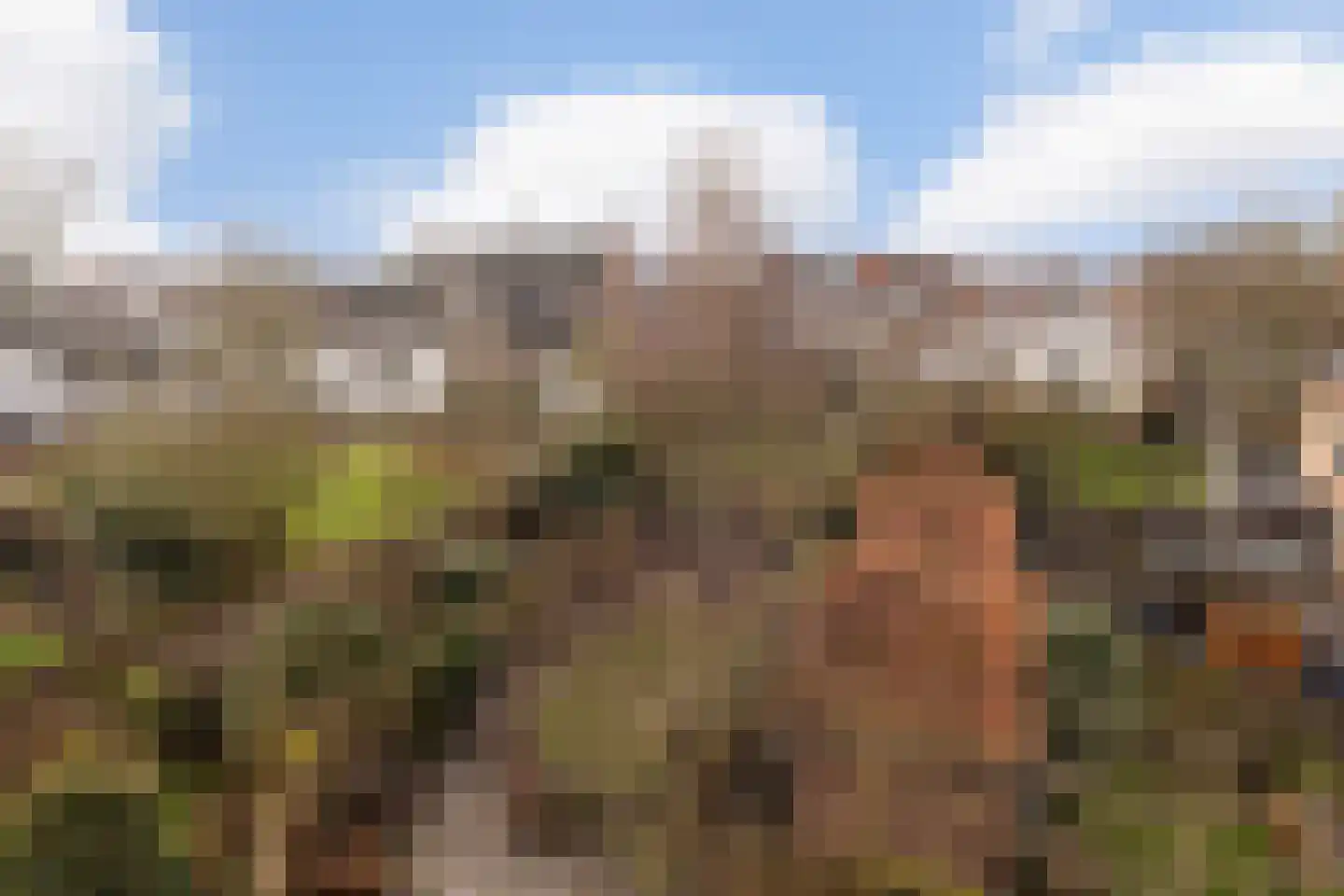 Walplantsoen 18 Wijk bij Duurstede thumbnail 30