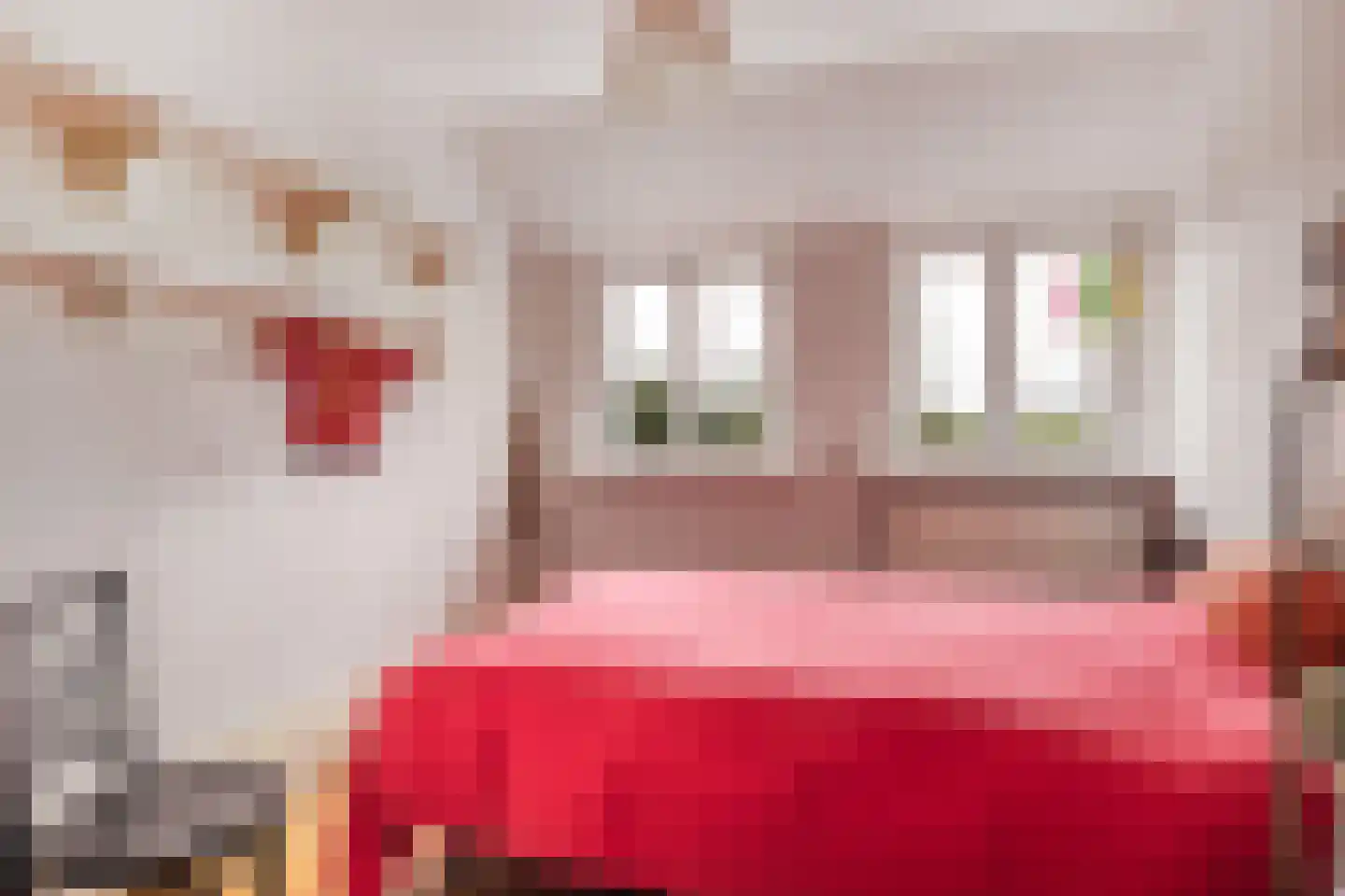 Walplantsoen 18 Wijk bij Duurstede thumbnail 28