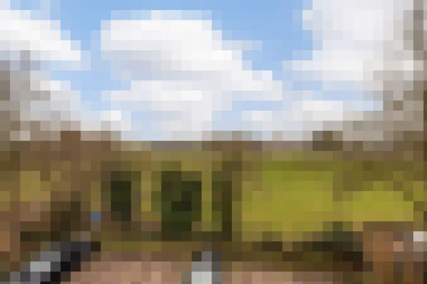 Walplantsoen 18 Wijk bij Duurstede thumbnail 34