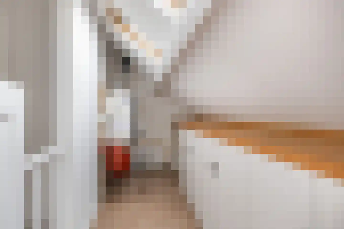 Walplantsoen 18 Wijk bij Duurstede thumbnail 43
