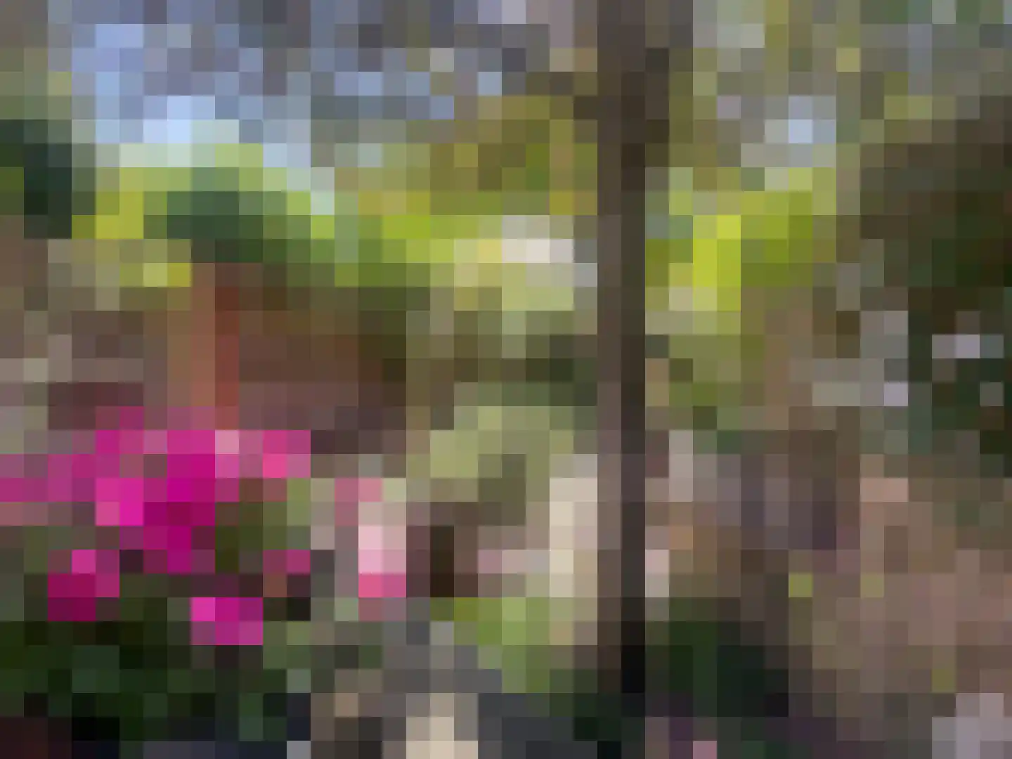 Walplantsoen 18 Wijk bij Duurstede thumbnail 43