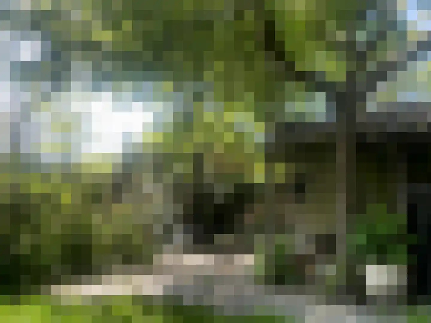 Walplantsoen 18 Wijk bij Duurstede thumbnail 44