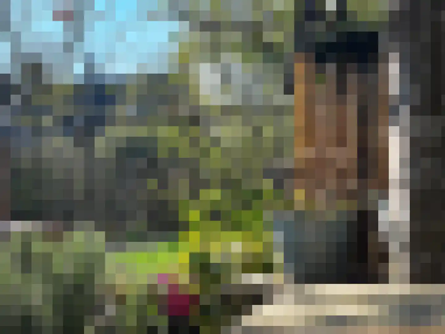 Walplantsoen 18 Wijk bij Duurstede thumbnail 46