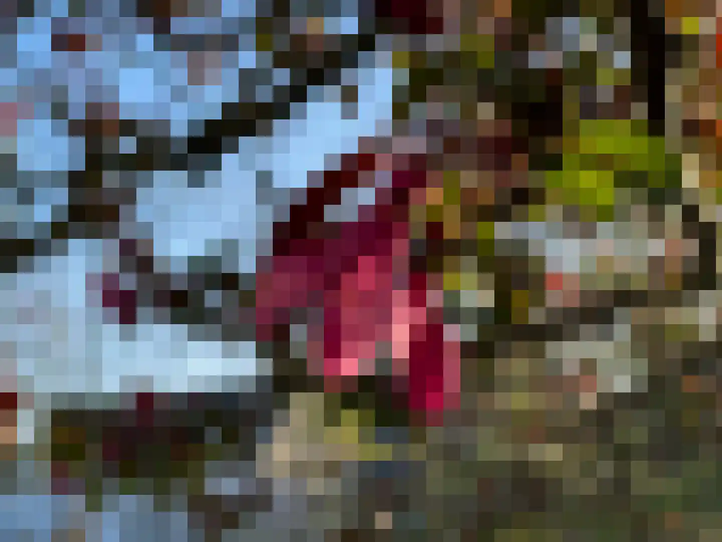Walplantsoen 18 Wijk bij Duurstede thumbnail 42
