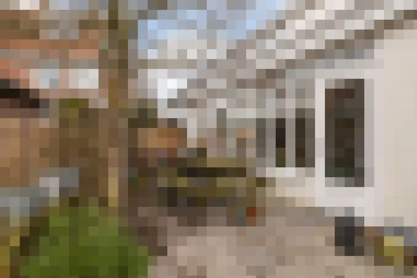 Walplantsoen 18 Wijk bij Duurstede thumbnail 48