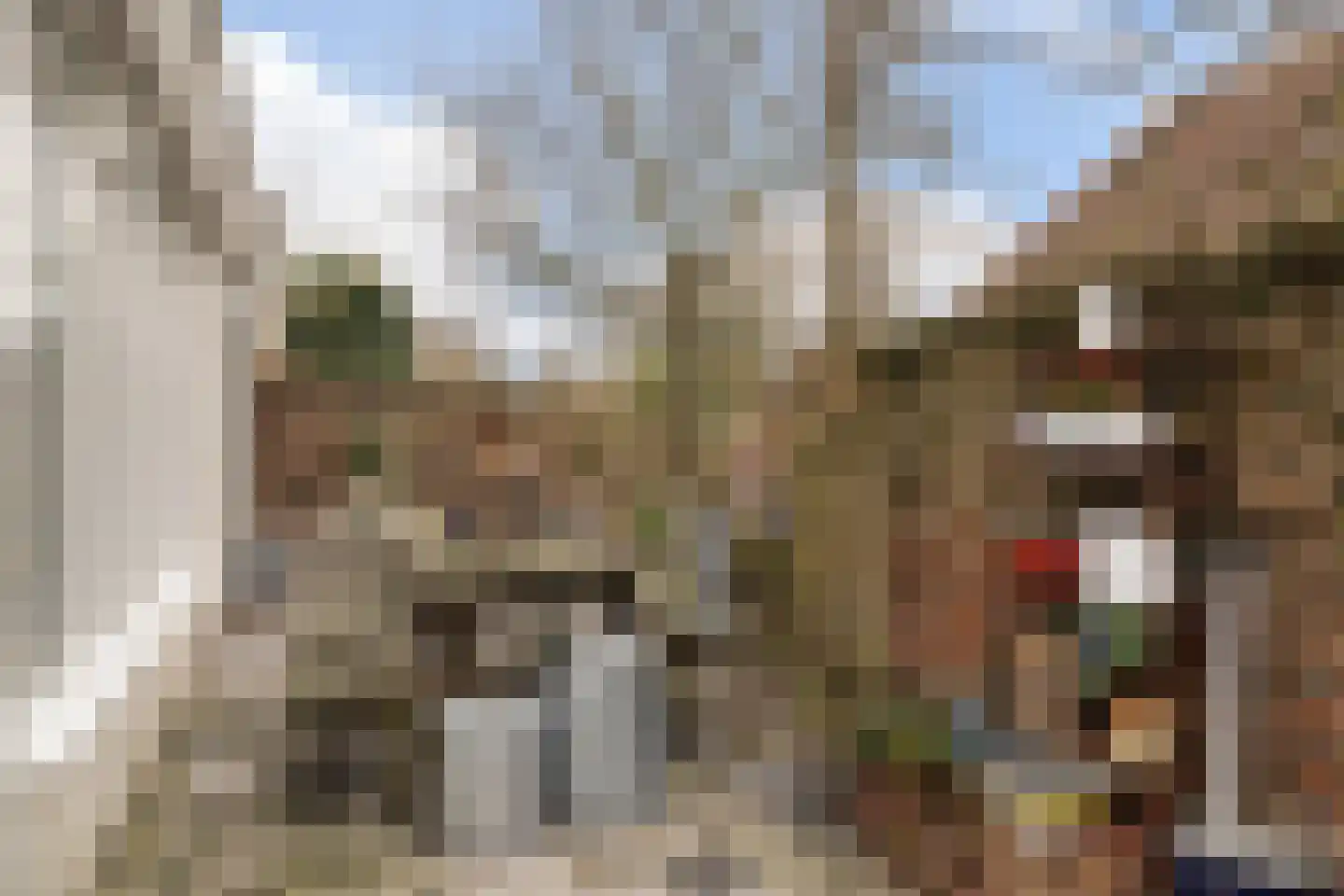 Walplantsoen 18 Wijk bij Duurstede thumbnail 49