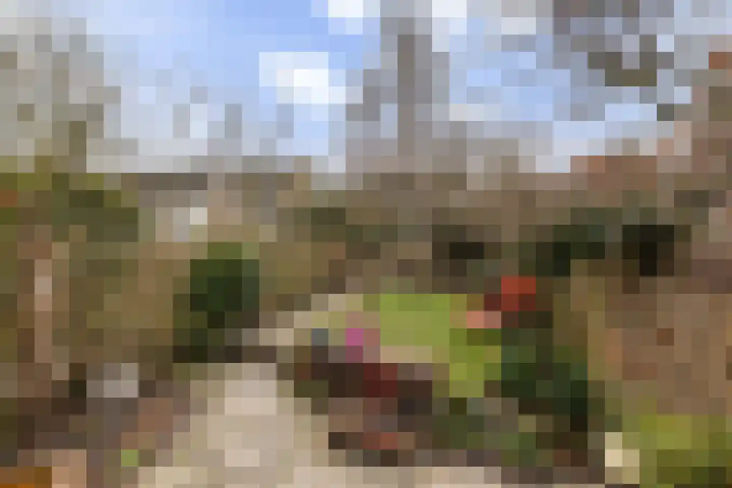 Walplantsoen 18 Wijk bij Duurstede thumbnail 50