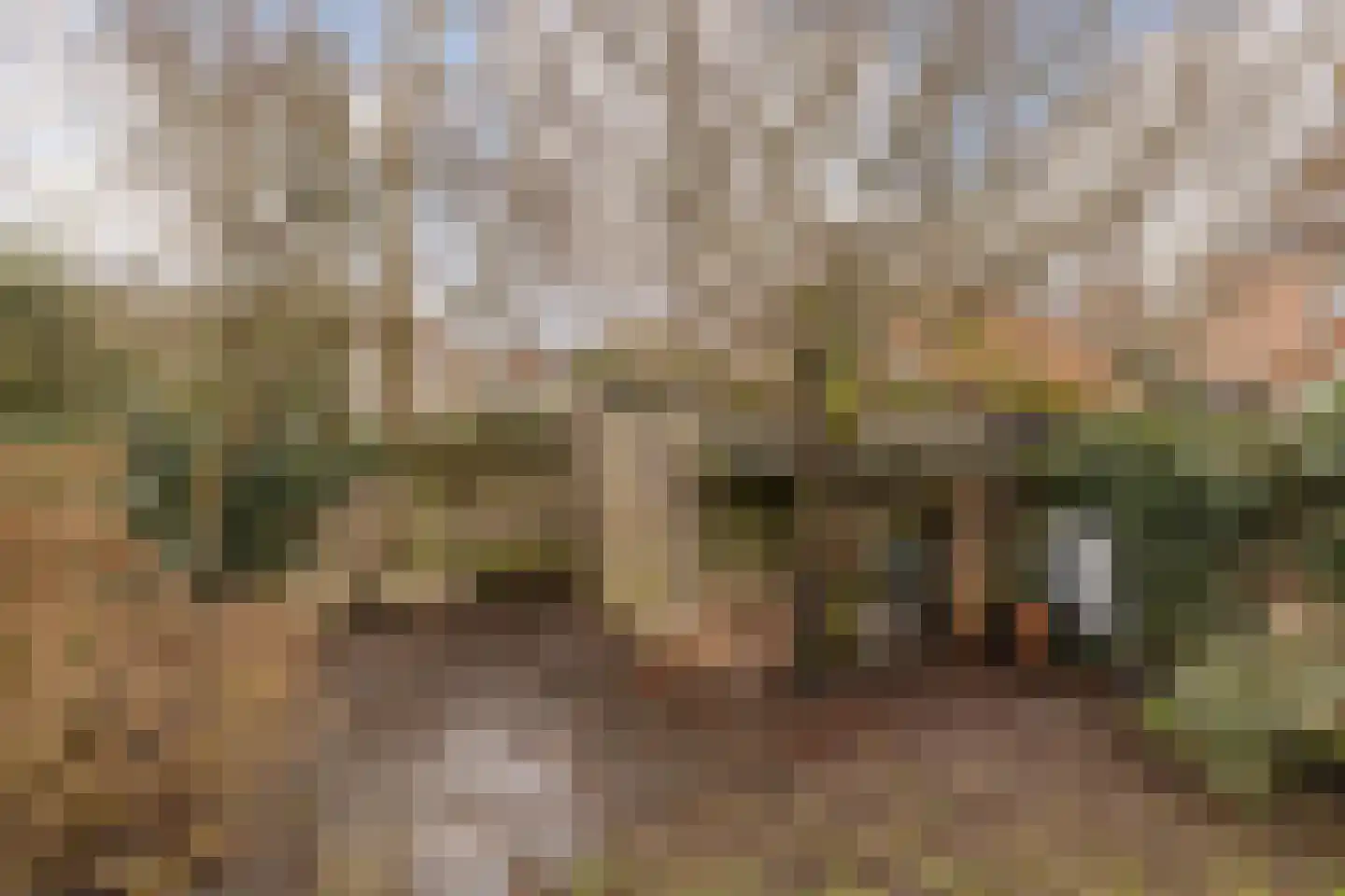 Walplantsoen 18 Wijk bij Duurstede thumbnail 52