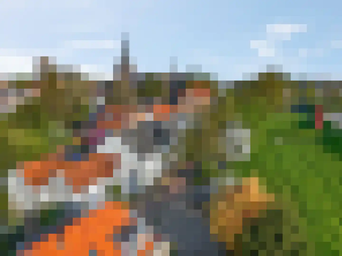 Walplantsoen 18 Wijk bij Duurstede thumbnail 52