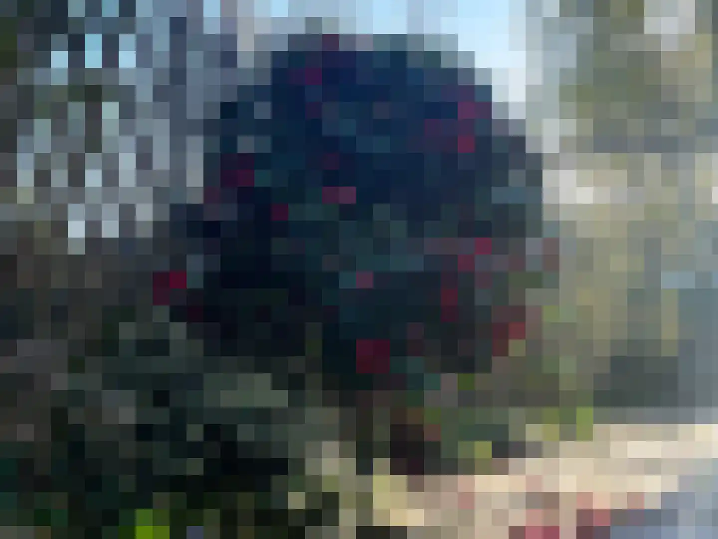 Walplantsoen 18 Wijk bij Duurstede thumbnail 53