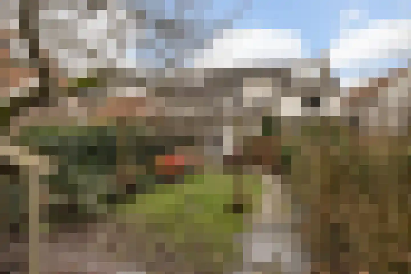 Walplantsoen 18 Wijk bij Duurstede thumbnail 7