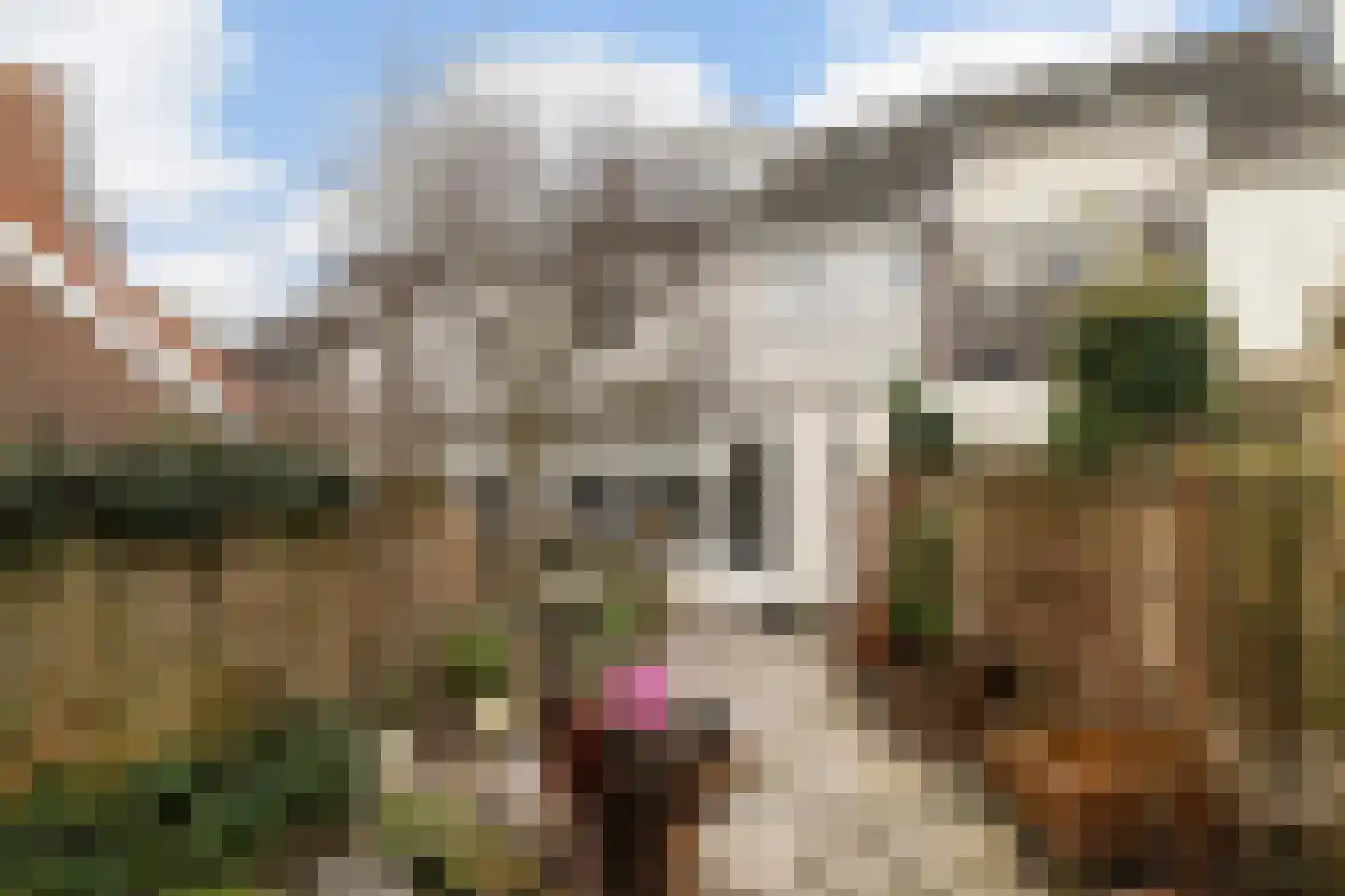 Walplantsoen 18 Wijk bij Duurstede thumbnail 8