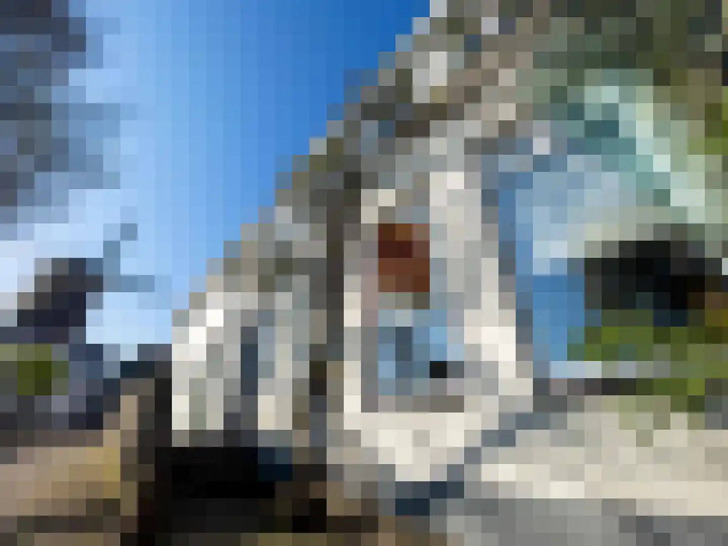 Walplantsoen 18 Wijk bij Duurstede thumbnail 6