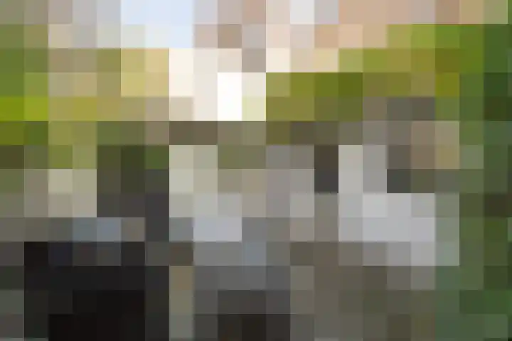 Walpoort 1 A 's-Hertogenbosch thumbnail 11
