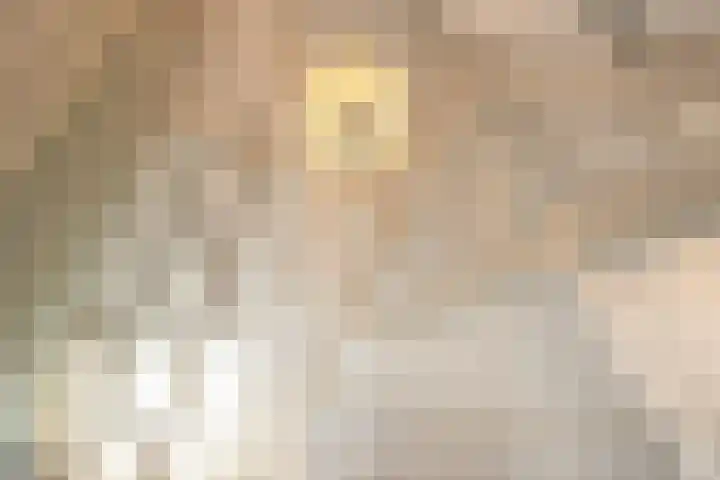 Walpoort 1 A 's-Hertogenbosch thumbnail 31
