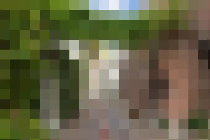 Walpoort 1 A 's-Hertogenbosch thumbnail 37
