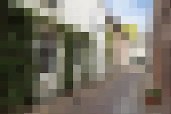 Walpoort 1 A 's-Hertogenbosch thumbnail 38