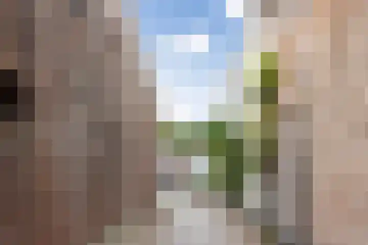 Walpoort 1 A 's-Hertogenbosch thumbnail 46