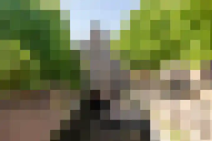 Walpoort 1 A 's-Hertogenbosch thumbnail 48