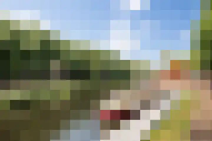 Walpoort 1 A 's-Hertogenbosch thumbnail 51
