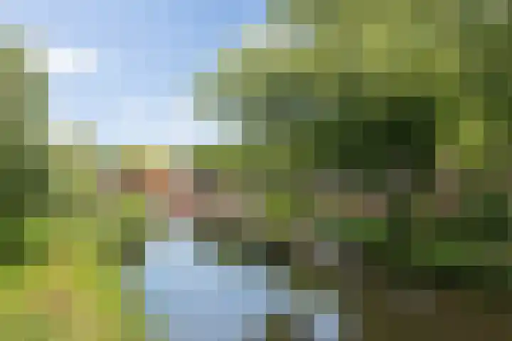 Walpoort 1 A 's-Hertogenbosch thumbnail 52