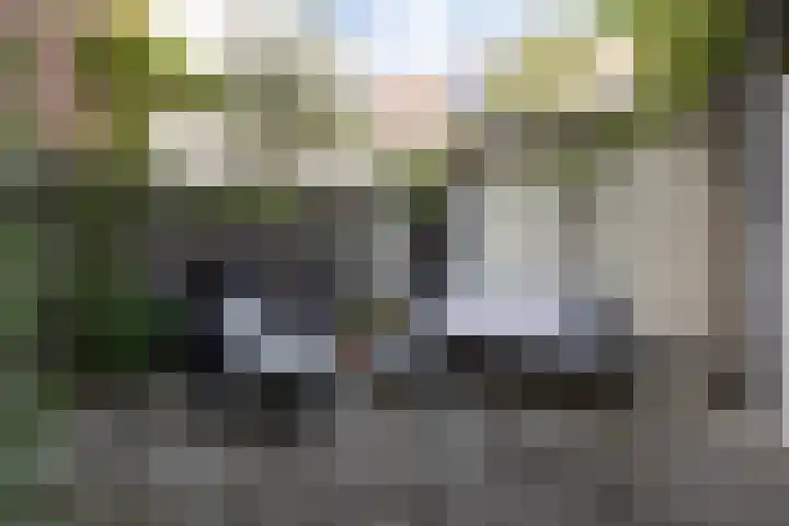 Walpoort 1 A 's-Hertogenbosch thumbnail 8