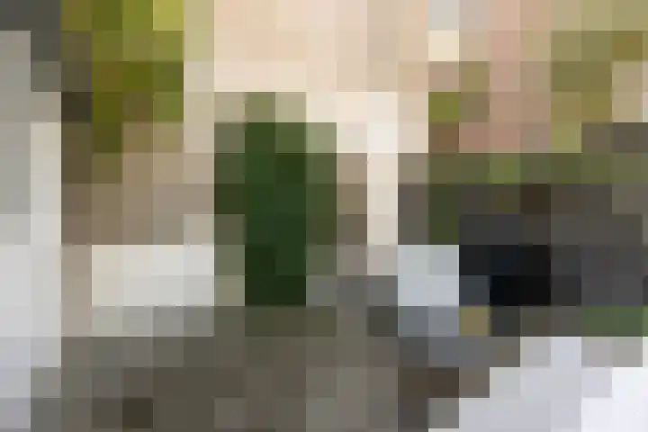Walpoort 1 A 's-Hertogenbosch thumbnail 9
