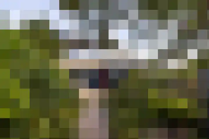 Walramstraat 25 Sittard thumbnail 39