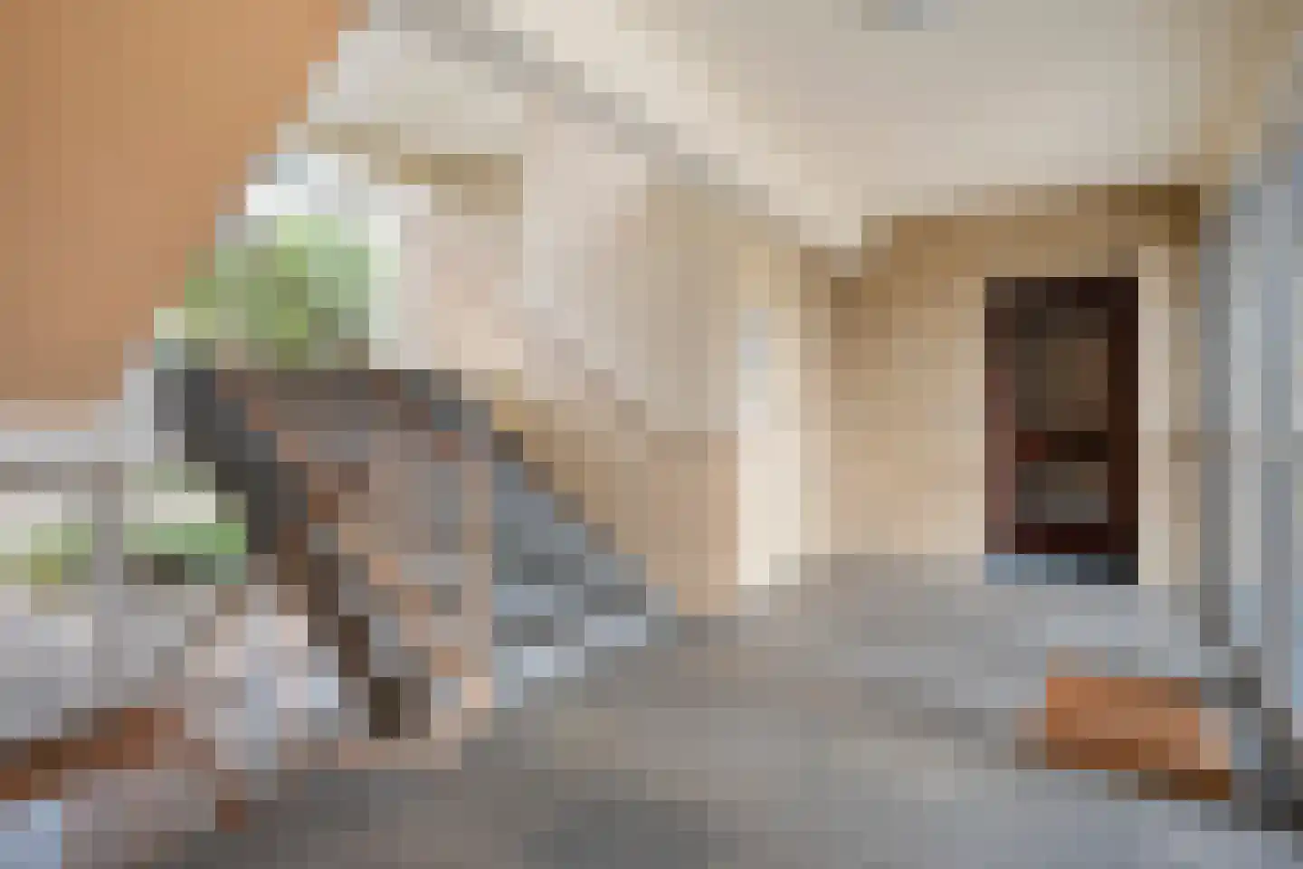 Walramstraat 49 Sittard thumbnail 12
