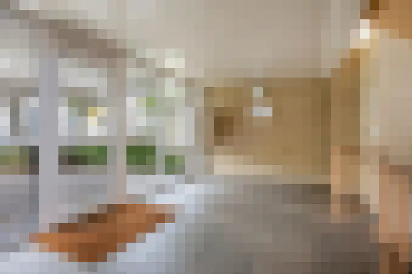 Walramstraat 49 Sittard thumbnail 13
