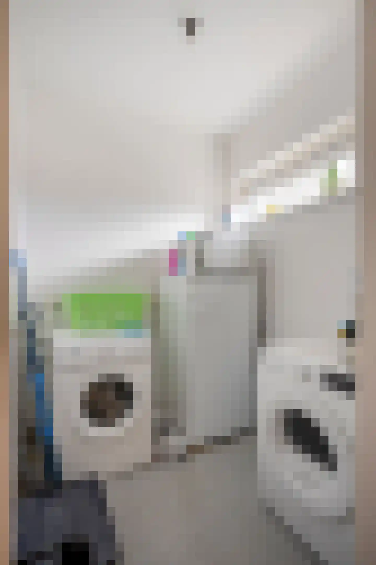 Walramstraat 49 Sittard thumbnail 24