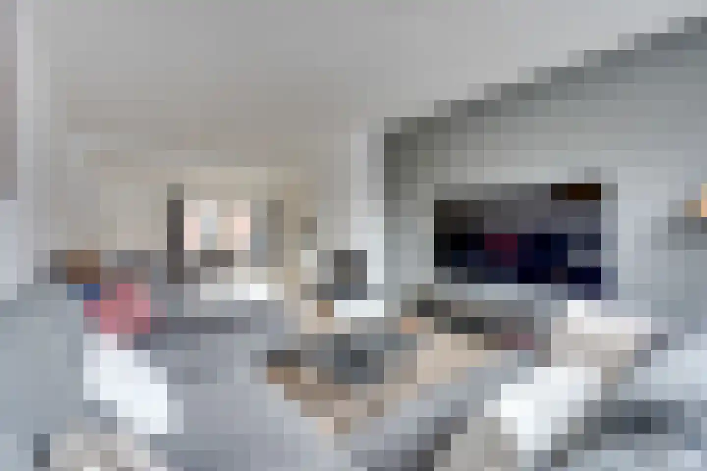 Walraven I-straat 23 Vianen thumbnail 4