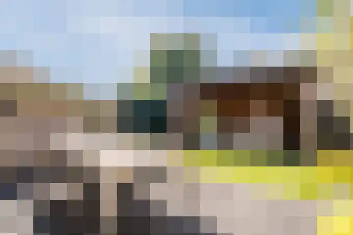 Walraven van Hallhof 22 Soest thumbnail 37