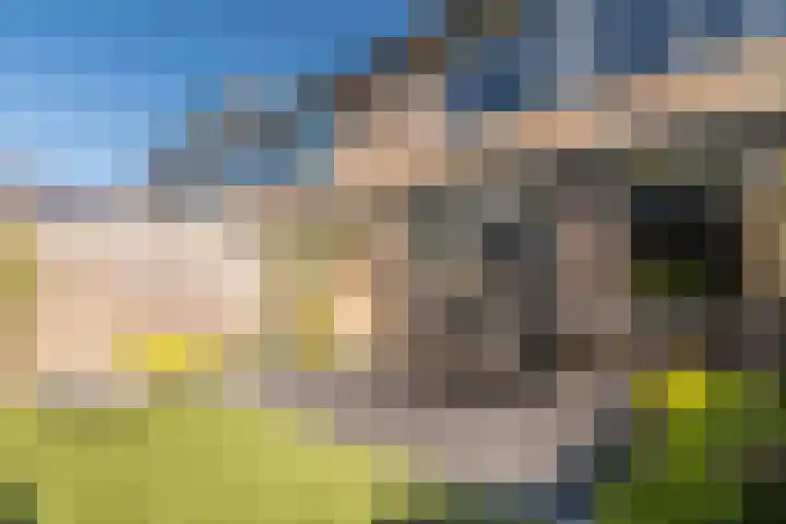 Walraven van Hallhof 22 Soest thumbnail 41