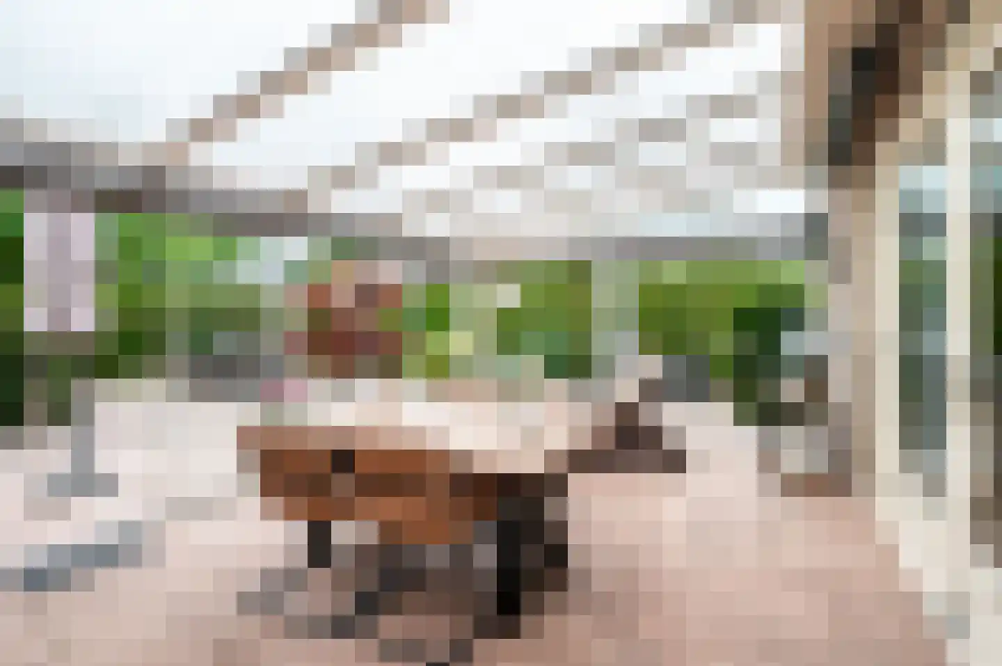 Walraven van Hallstraat 4 Almere thumbnail 35
