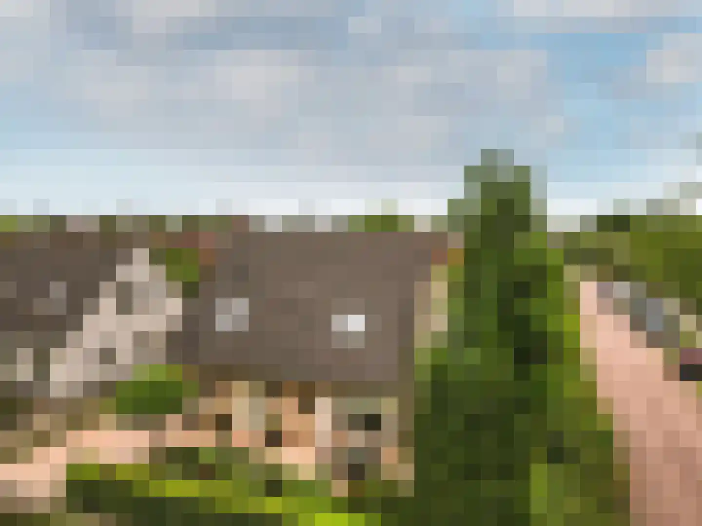 Walraven van Hallstraat 4 Almere thumbnail 52