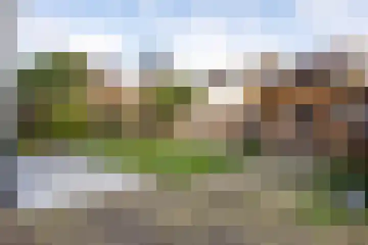Walraven van Hallstraat 5 Heemskerk thumbnail 56